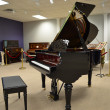 2014 FANCY William Knabe grand piano - Grand Pianos